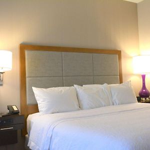 Executive King Room Sofa Bed Non-Smoking